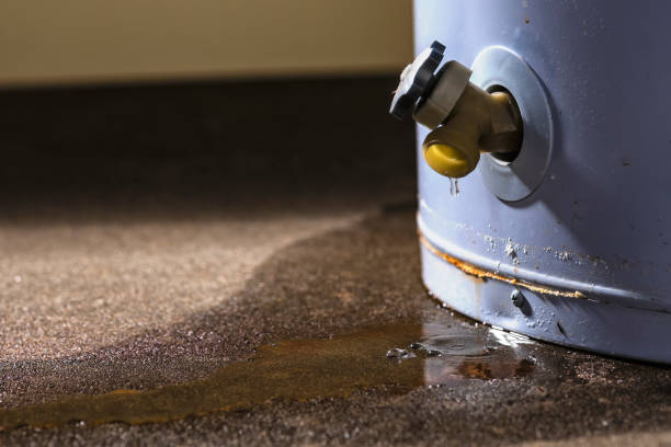 Best Basement water damage restoration  in Shenandoah Farms, VA