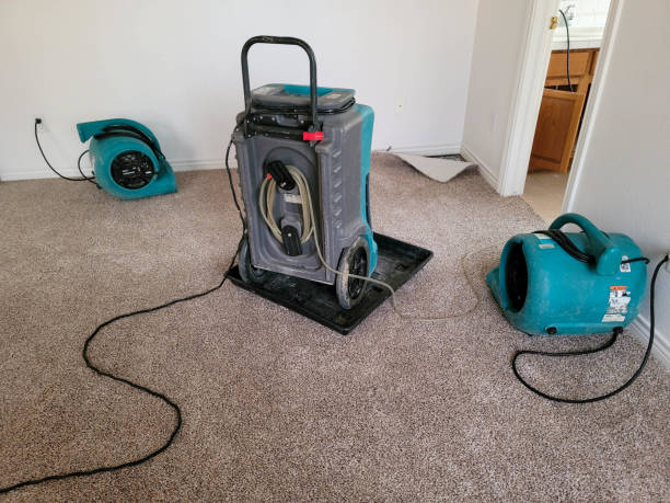 Best Basement water damage restoration  in Shenandoah Farms, VA