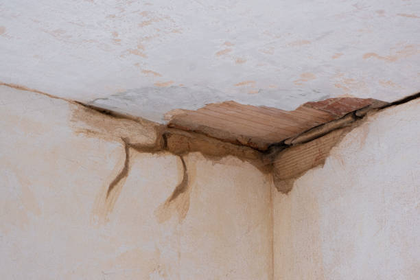Best Local water damage restoration  in Shenandoah Farms, VA