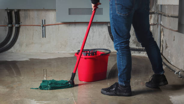 Best Professional water damage repair  in Shenandoah Farms, VA