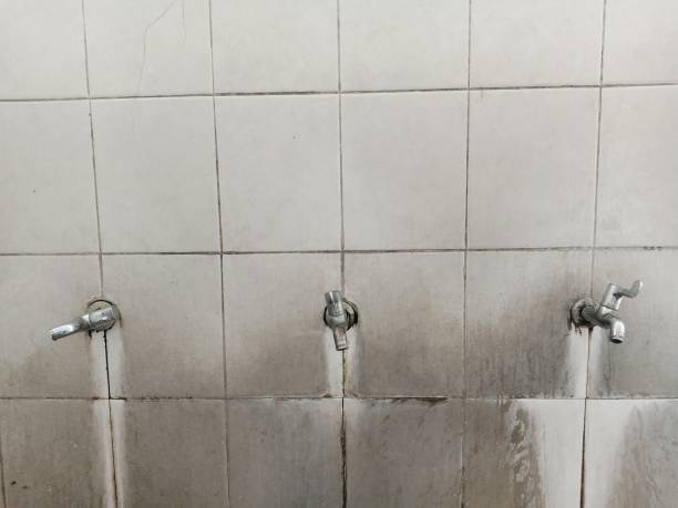 Best Water damage restoration near me  in Shenandoah Farms, VA