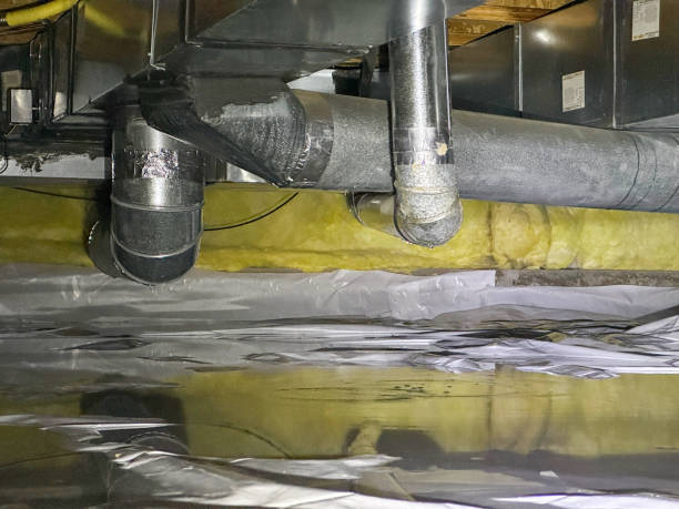 Best Fire Damage Restoration  in Shenandoah Farms, VA
