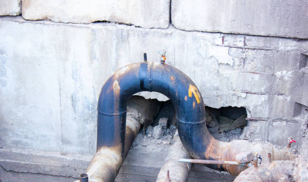 Best Carpet water damage restoration  in Shenandoah Farms, VA