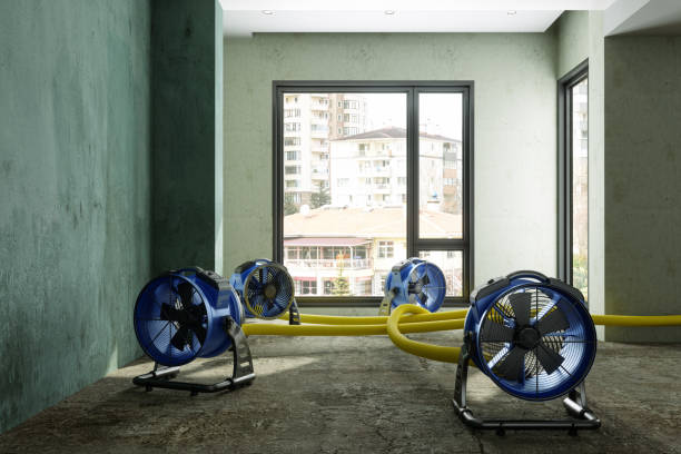 Best Water damage contractors near me  in Shenandoah Farms, VA