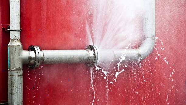 Best Professional water damage repair  in Shenandoah Farms, VA
