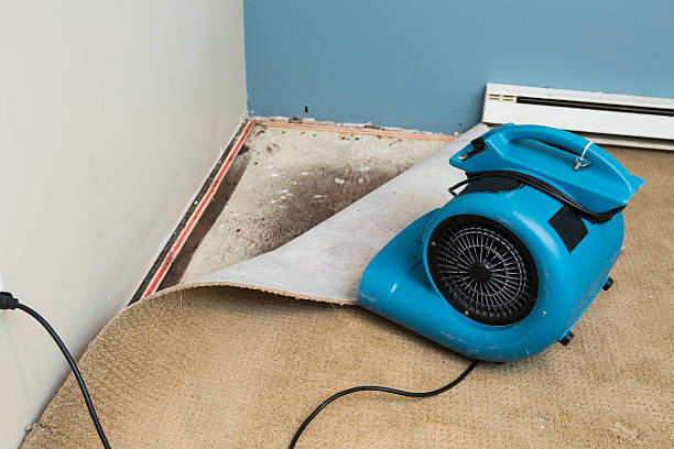 Best Flood restoration services  in Shenandoah Farms, VA